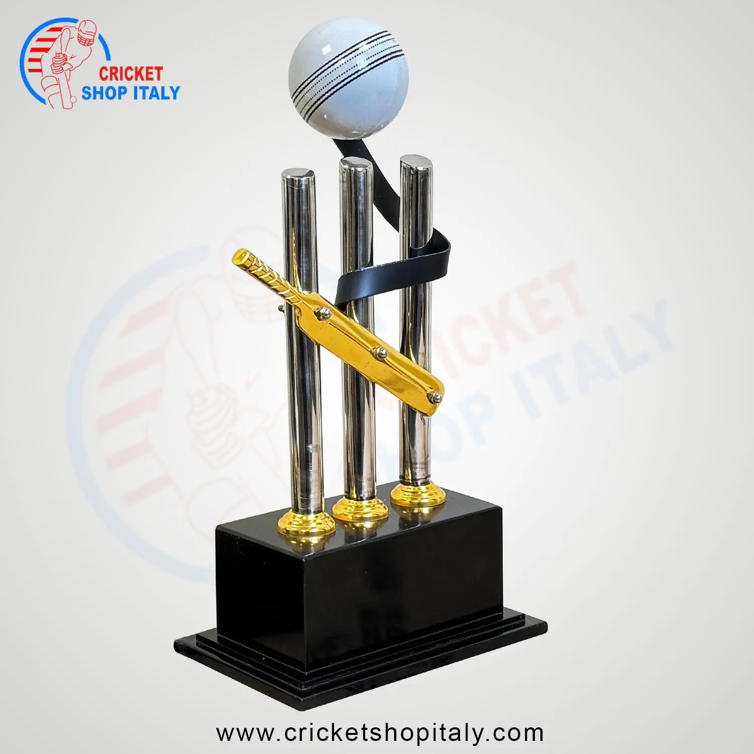 Cricket Bat Ball & Stump Trophy - Image 6