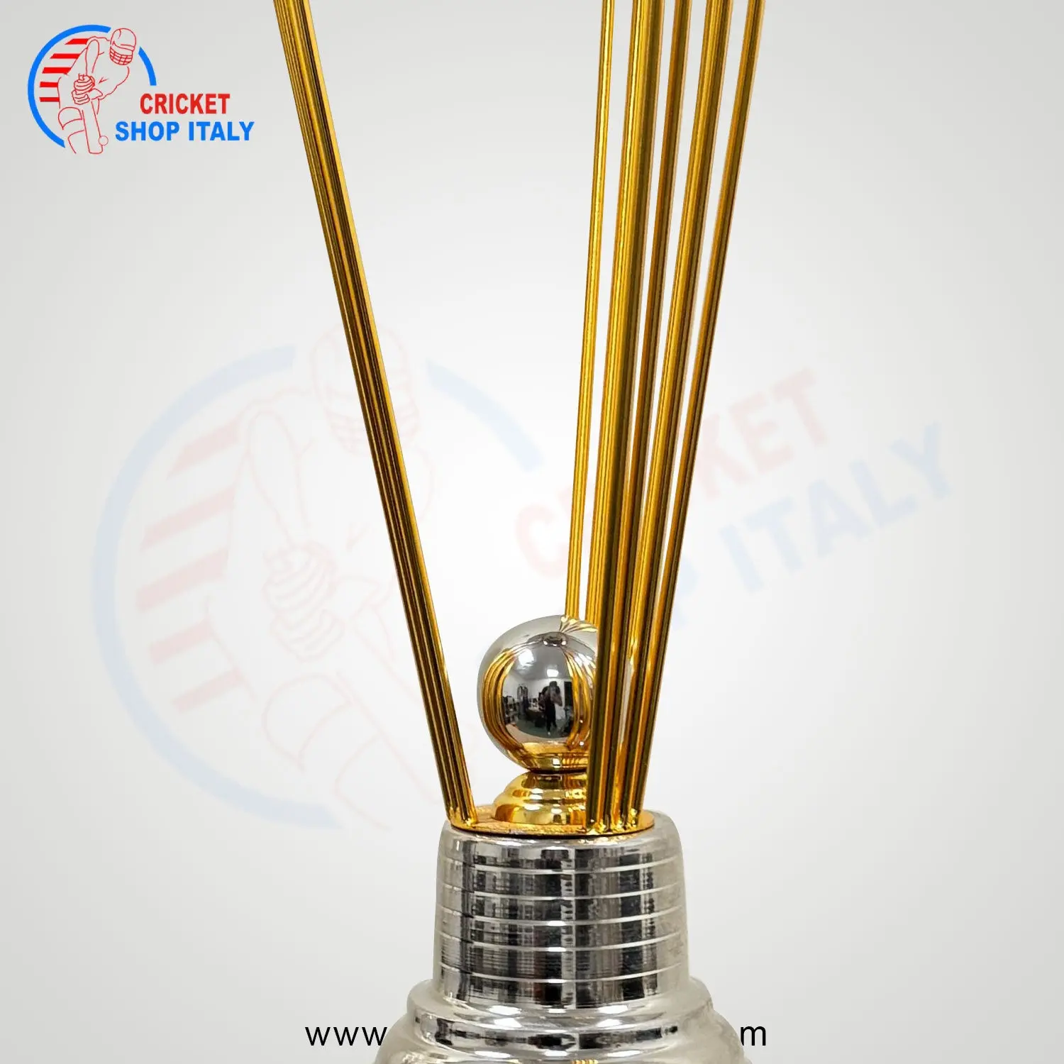 Cricket T20 Trophy Cup - Image 2