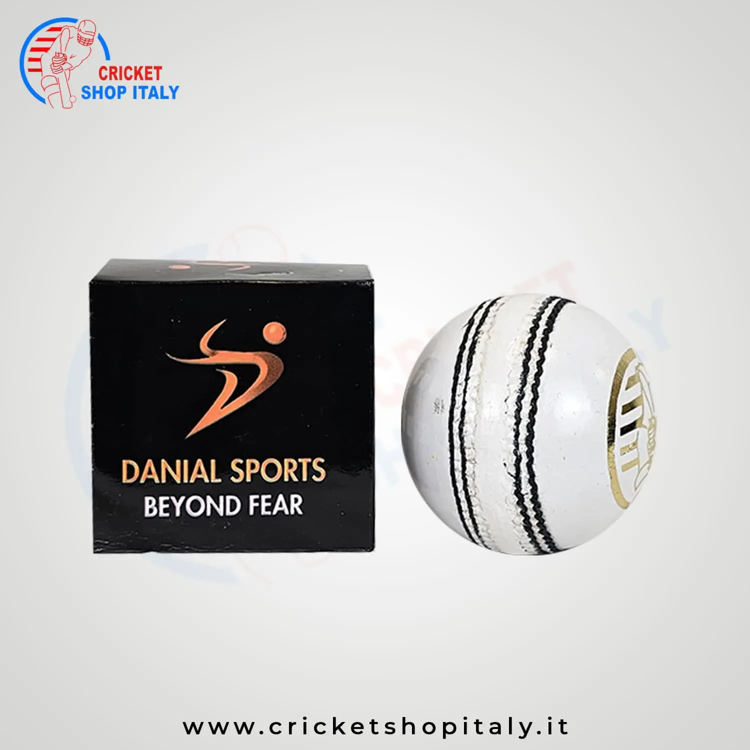 DS T20 Cricket Ball ( 6 Balls Pack ) - Image 4