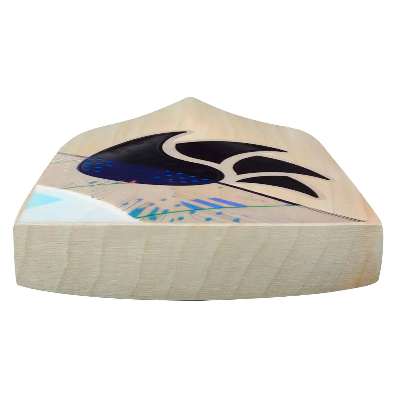 Dsc Condor Motion English Willow Cricket Bat 2025 - Image 5