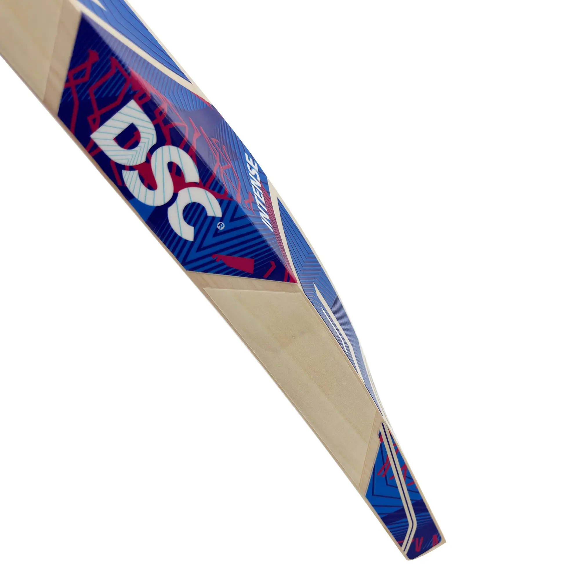 Dsc Intense 75 English Willow Cricket Bat - Image 11